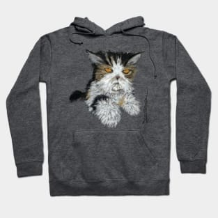 Purrty Persian Hoodie